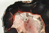 Polished Patagonia Crater Agate - Highly Fluorescent! #206226-2